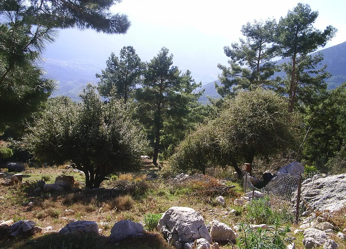 Gökbük Kanyonu (Başgöz Çayı)