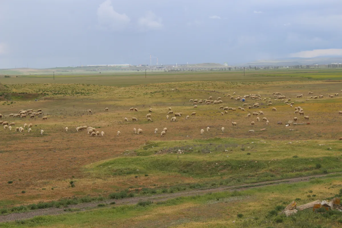 Gordion Antik Kenti (UNESCO Dünya Mirası)