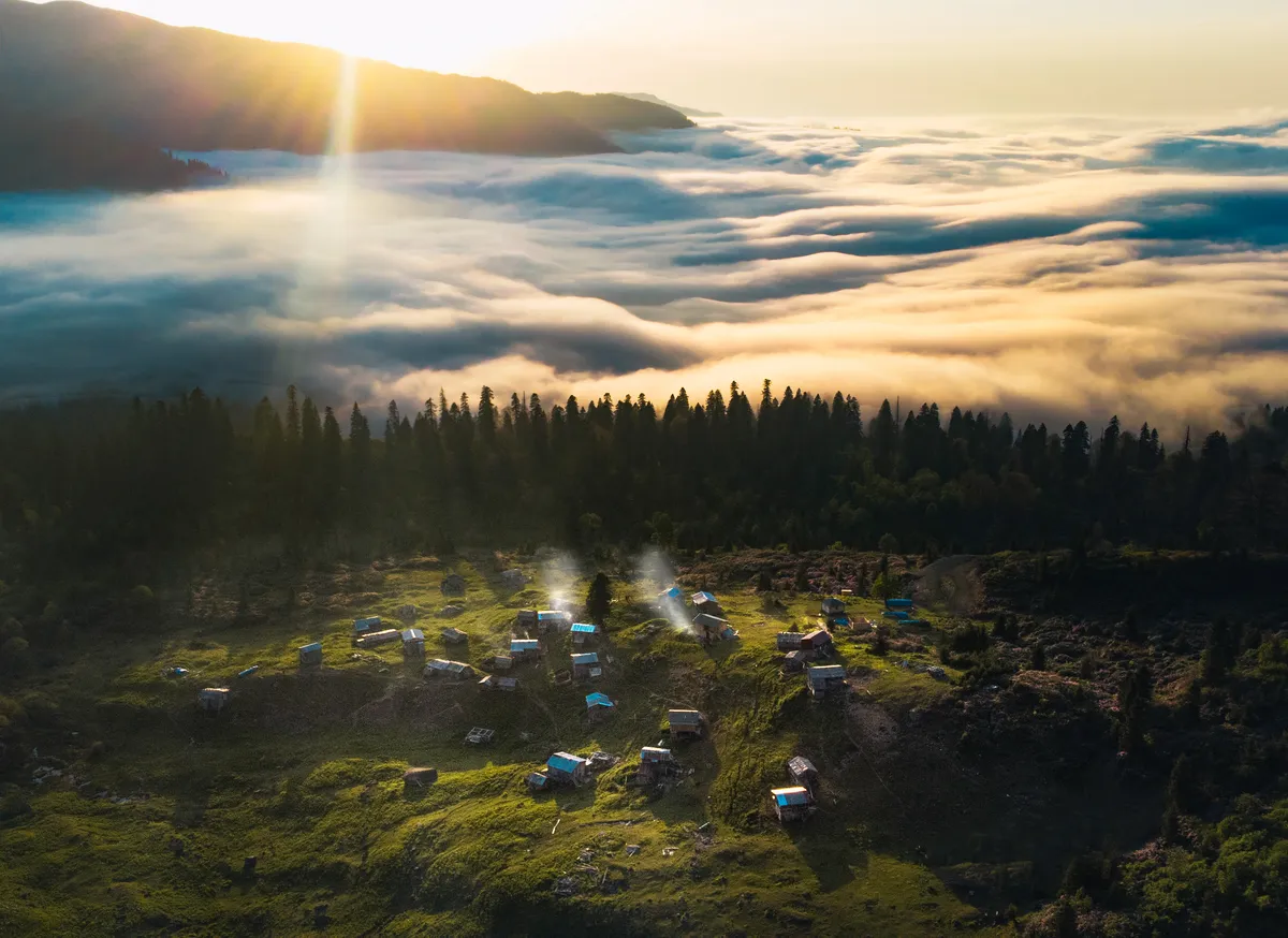 Gorgit Yaylası ve Yaşlı Yağmur Ormanları Tabiatı