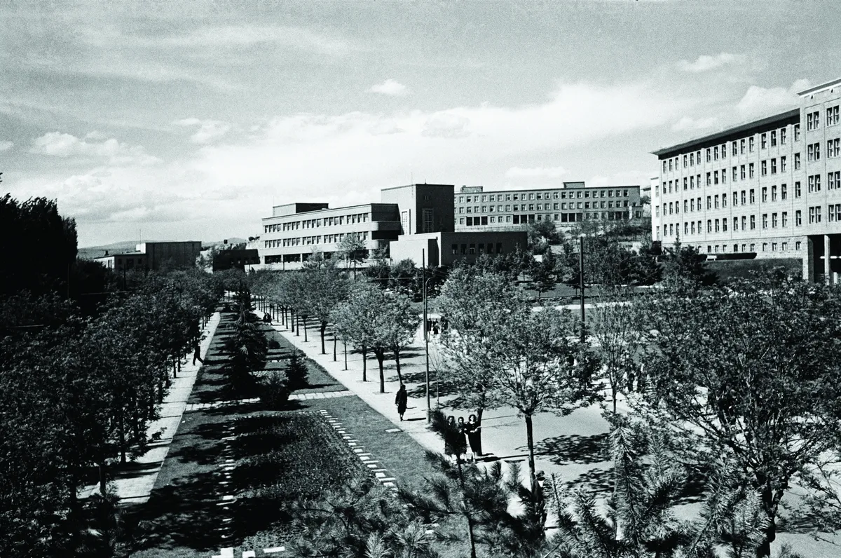 Gümüşdere Cam Köprüsü & Parkı