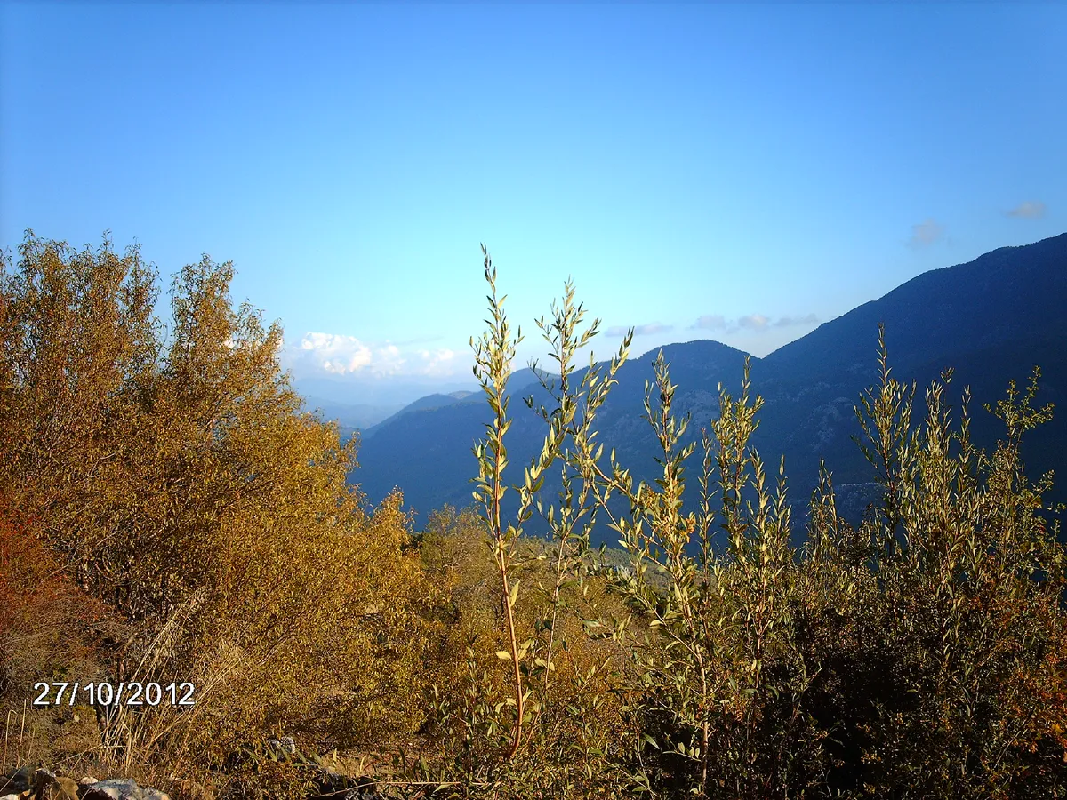 Güneykaya Kayak Merkezi (2200m)