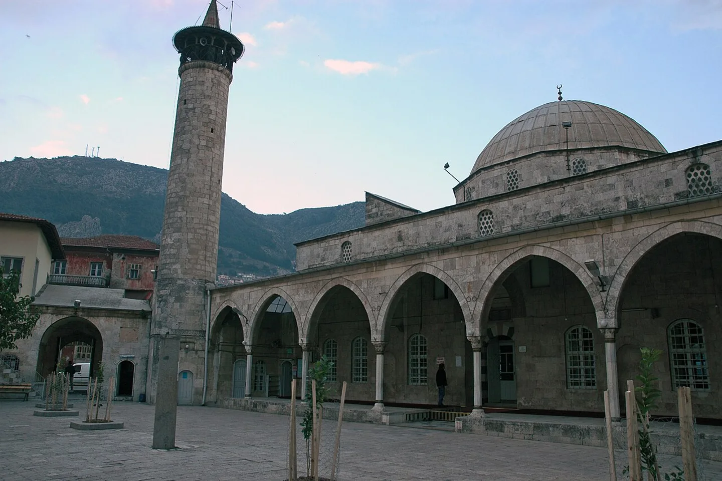 Habib-i Neccar
