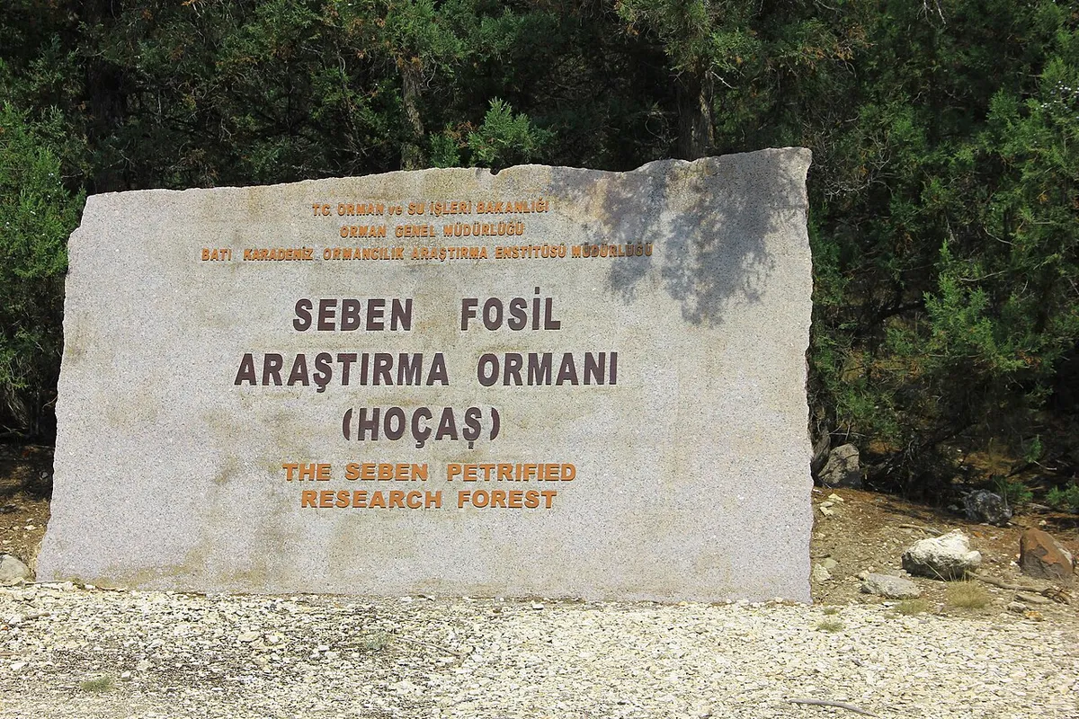 Hoçaş Fosil Ormanı & Taşlaşmış Ağaçlar Jeosit Alanı (18 Milyon Yıllık) - Bolu Seben