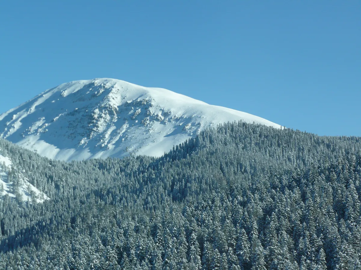 Ilgaz Kent Meydanı & Meşhur Ilgaz Balı ve Yöresel Ürünler Çarşısı - Çankırı Ilgaz