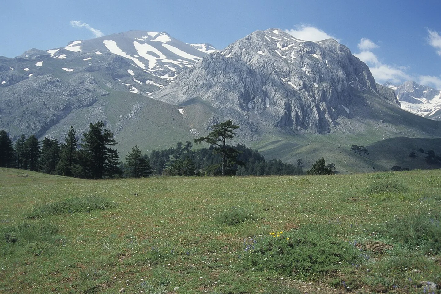 Melikler Yaylası Uluslararası Gökyüzü Gözlem ve Kamp Alanı (1.735 m)