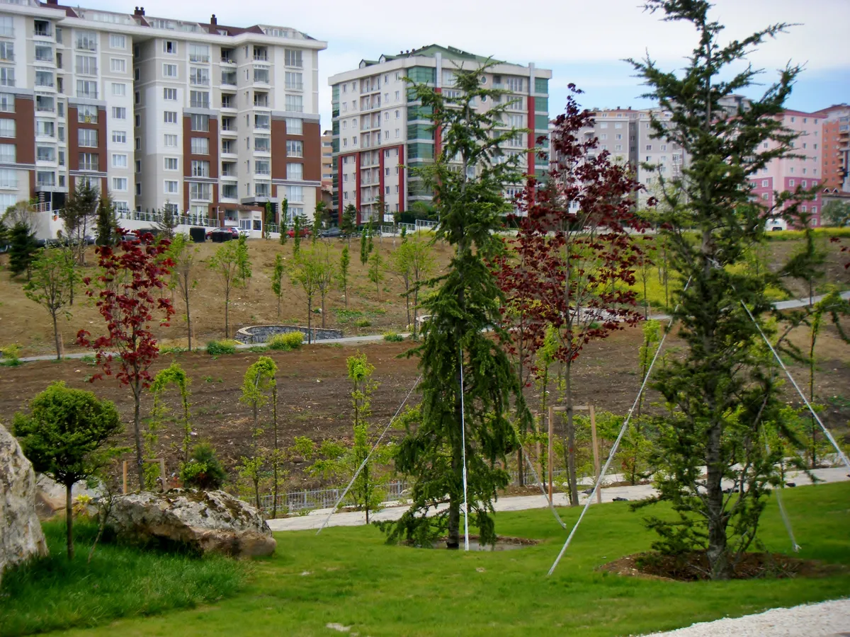Sasalı Kent Ormanı ve Doğal Piknik Alanı