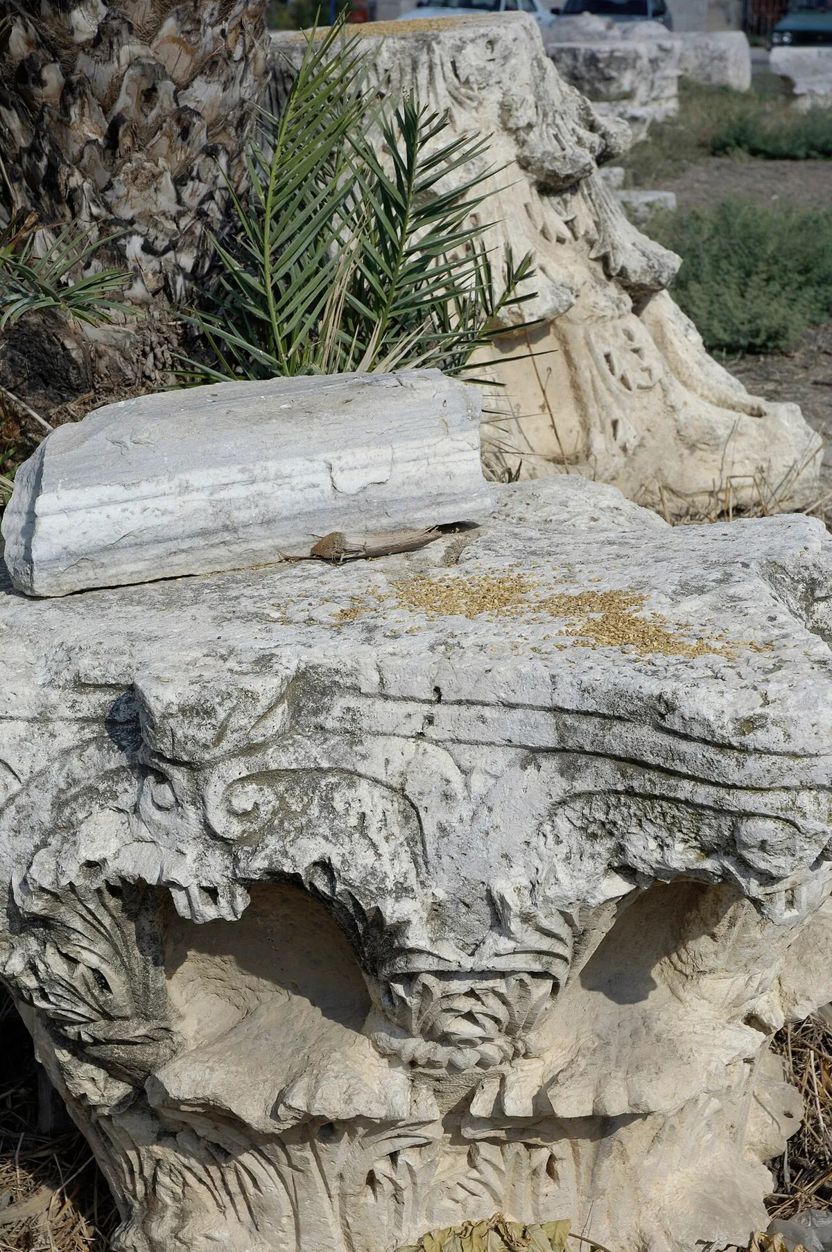 Jüpiter Tapınağı (Zeus Tapınağı)