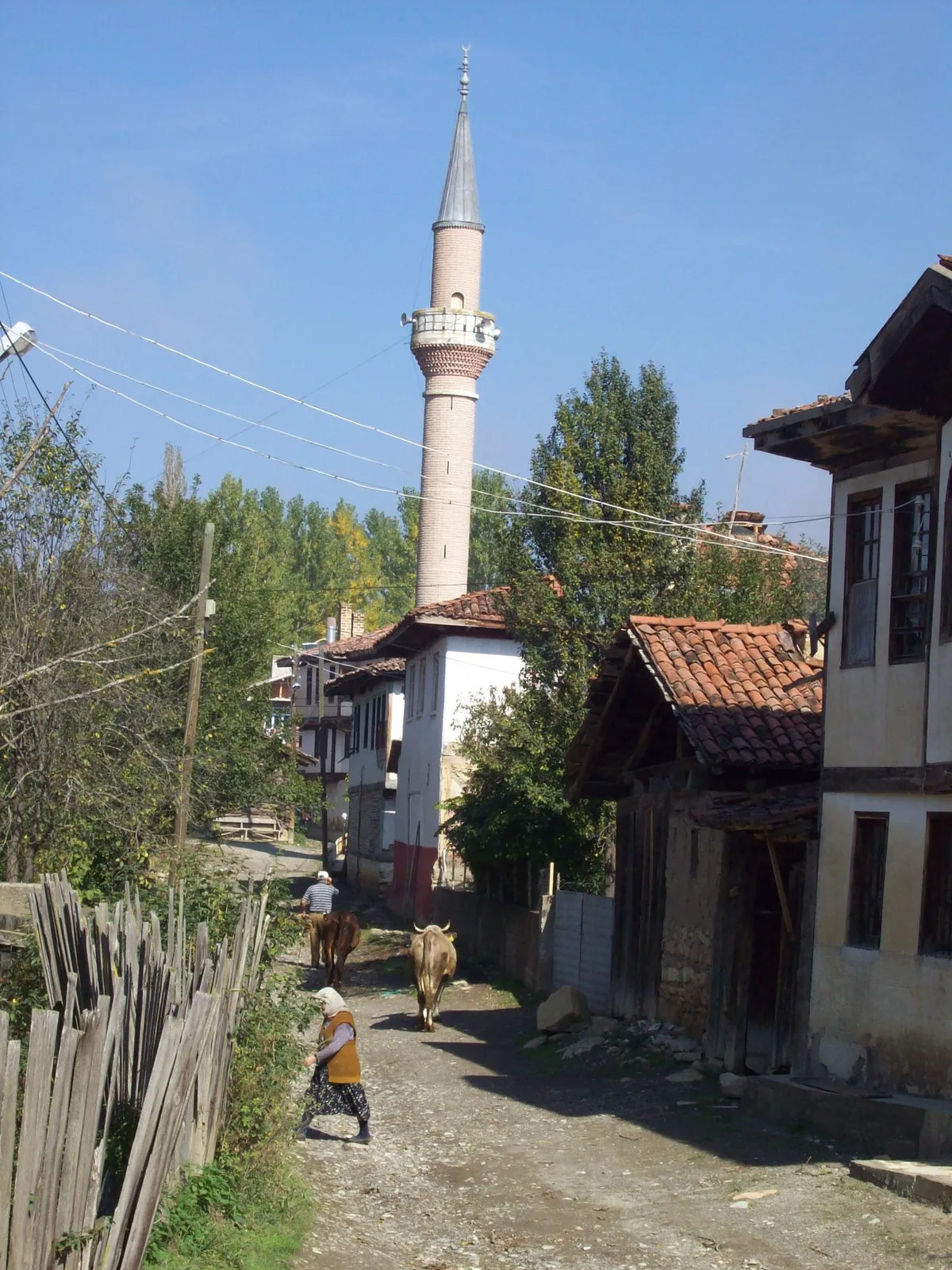 Kadı İbrahim Köyü Tarihi Camii ve Çınarlı Meydanı (Akçadağ) - Malatya Akçadağ