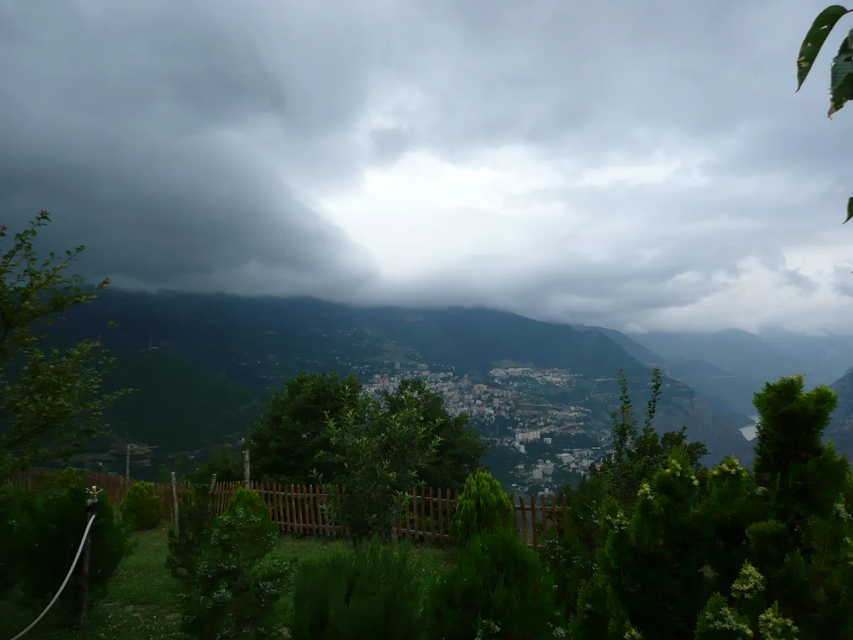 Artvin Merkez'in Gizli Cennetleri: Kuş Gözlem Alanları Rehberi