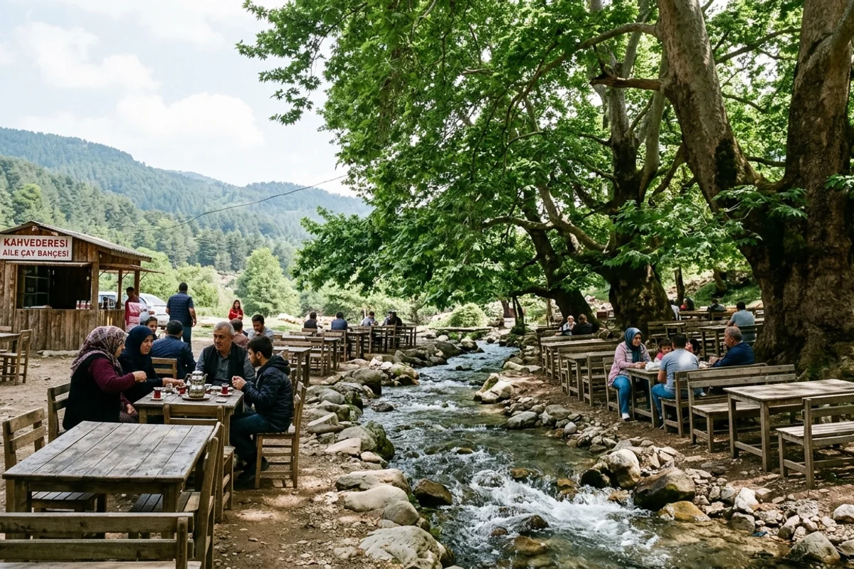 Kahvederesi Yaylası & Asırlık Çınar Mesire Alanı (1100m)