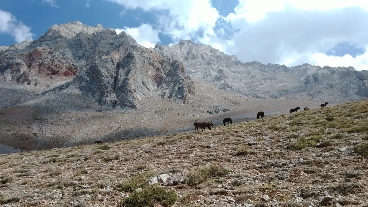Karagöl Tabiat Parkı & Yayla Göleti (Kıbrıscık 1550m)