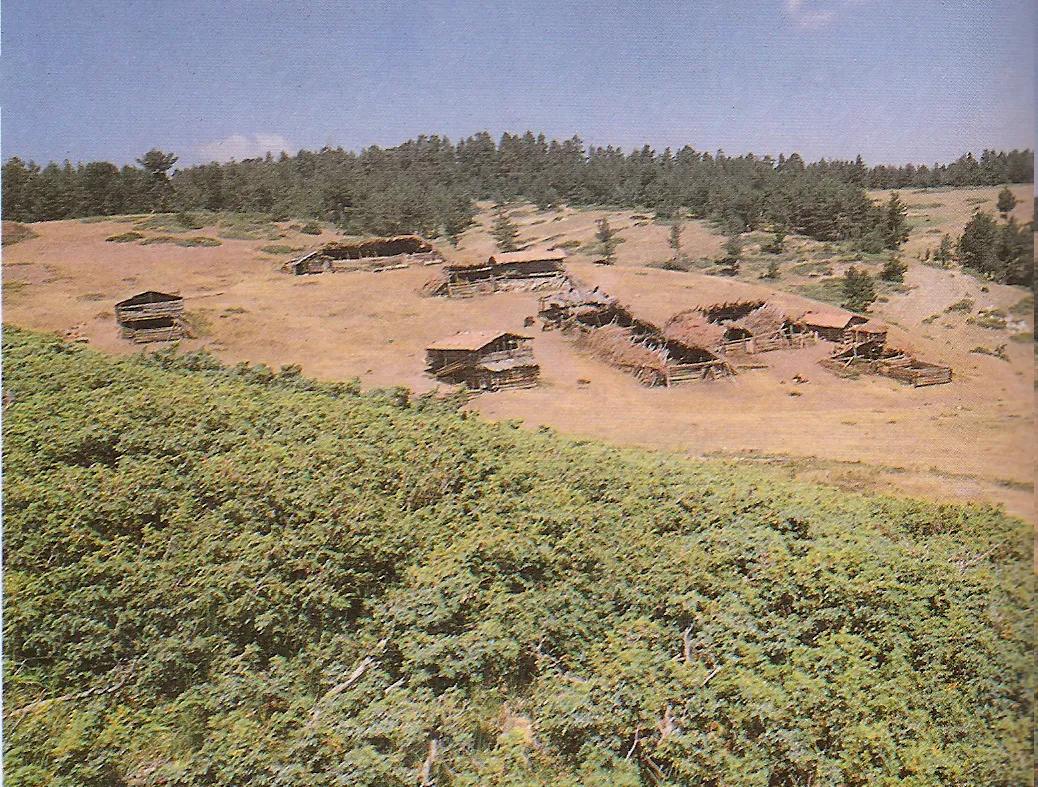 Kargı Yaylası & Çaykışla Ormanları - Çorum Kargı