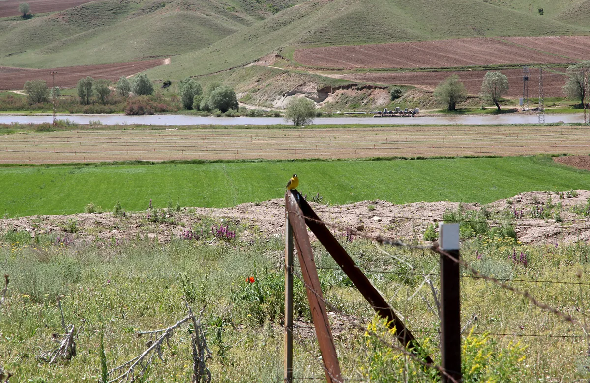 Pulur Höyük Arkeolojik Yerleşimi