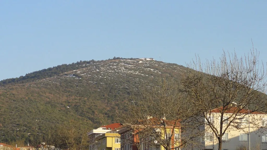 Kayışdağı Ormanı ve Tarihi Pınarları (Ataşehir)