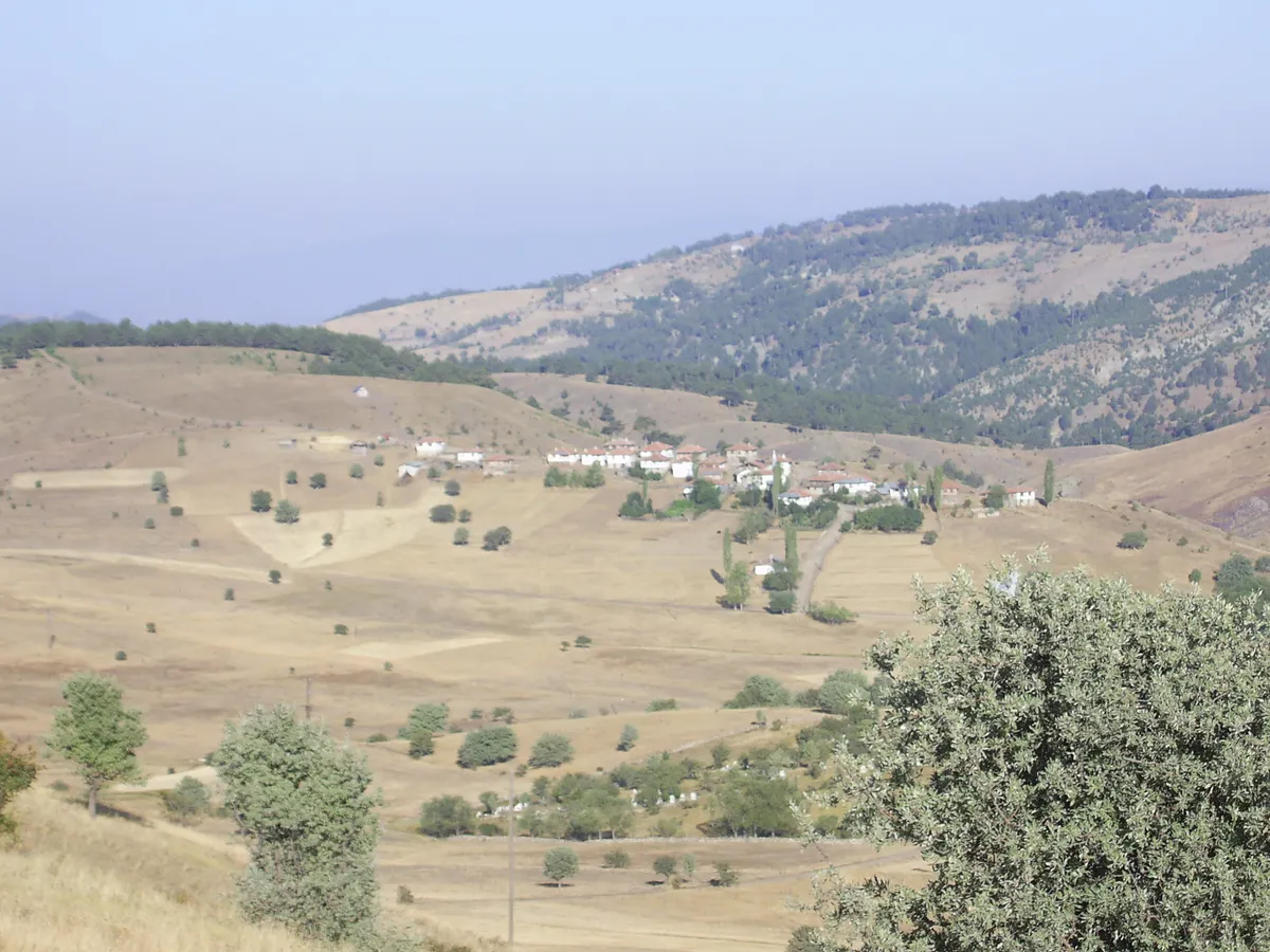 Kılkuyu Yaylası ve Çam Ormanları Mesiresi (Tosya)