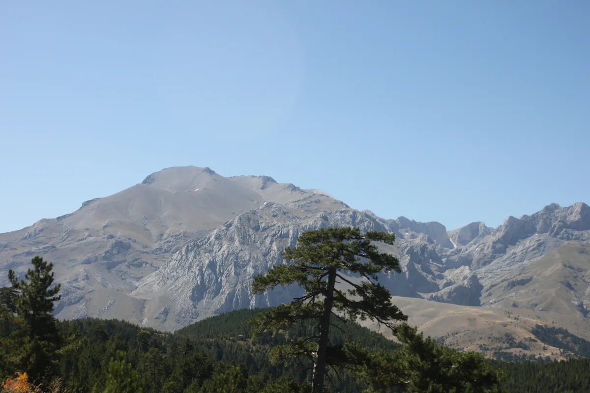 Kızıldağ Milli Parkı ve Mavi Sedir Ormanları (Astım Şifa Cenneti - 1.840 m)