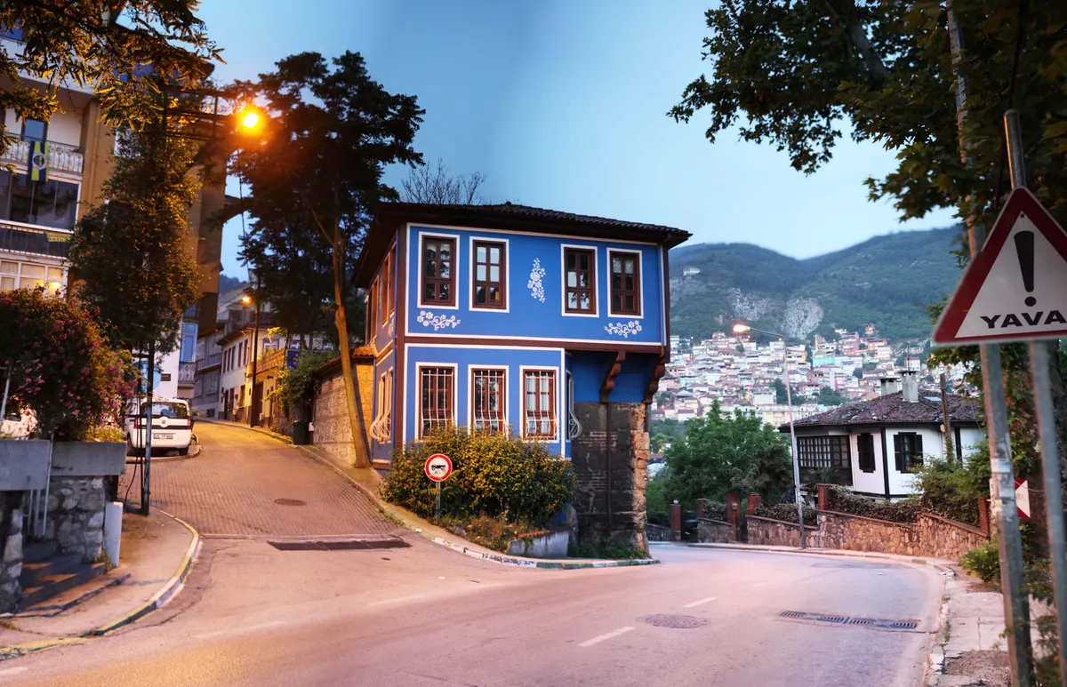 Kocaöz Tarihi Ahşap Camii & Çınarı