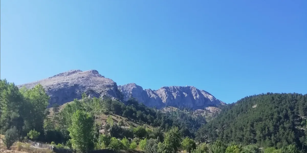 Koru Yaylası ve Tabiat Parkuru (1250 m)