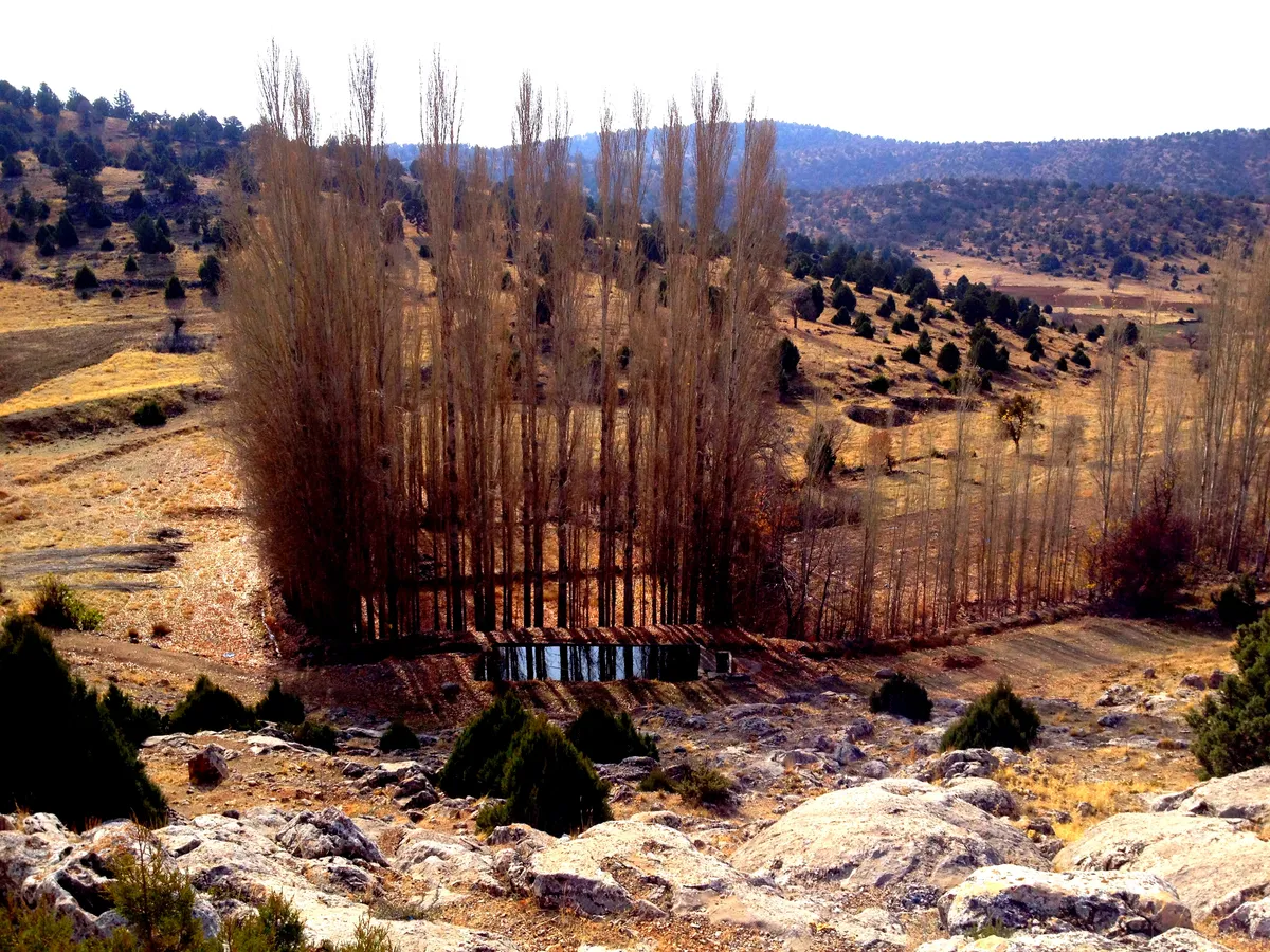 Köyceğiz Kordonu ve Gölü Sahil Yürüyüş Yolu