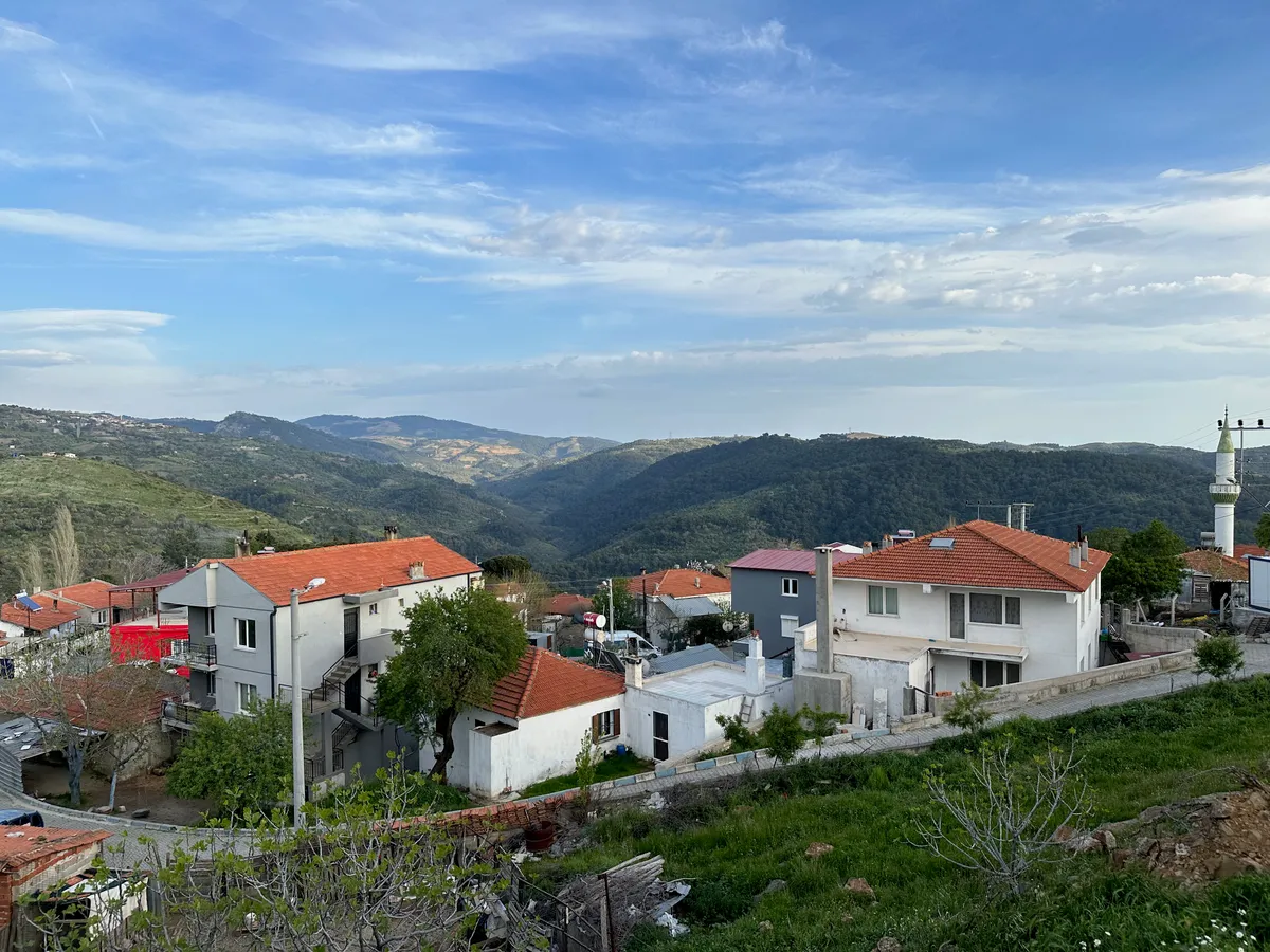 Yelki Çamlığı ve Doğa Yürüyüş Parkuru