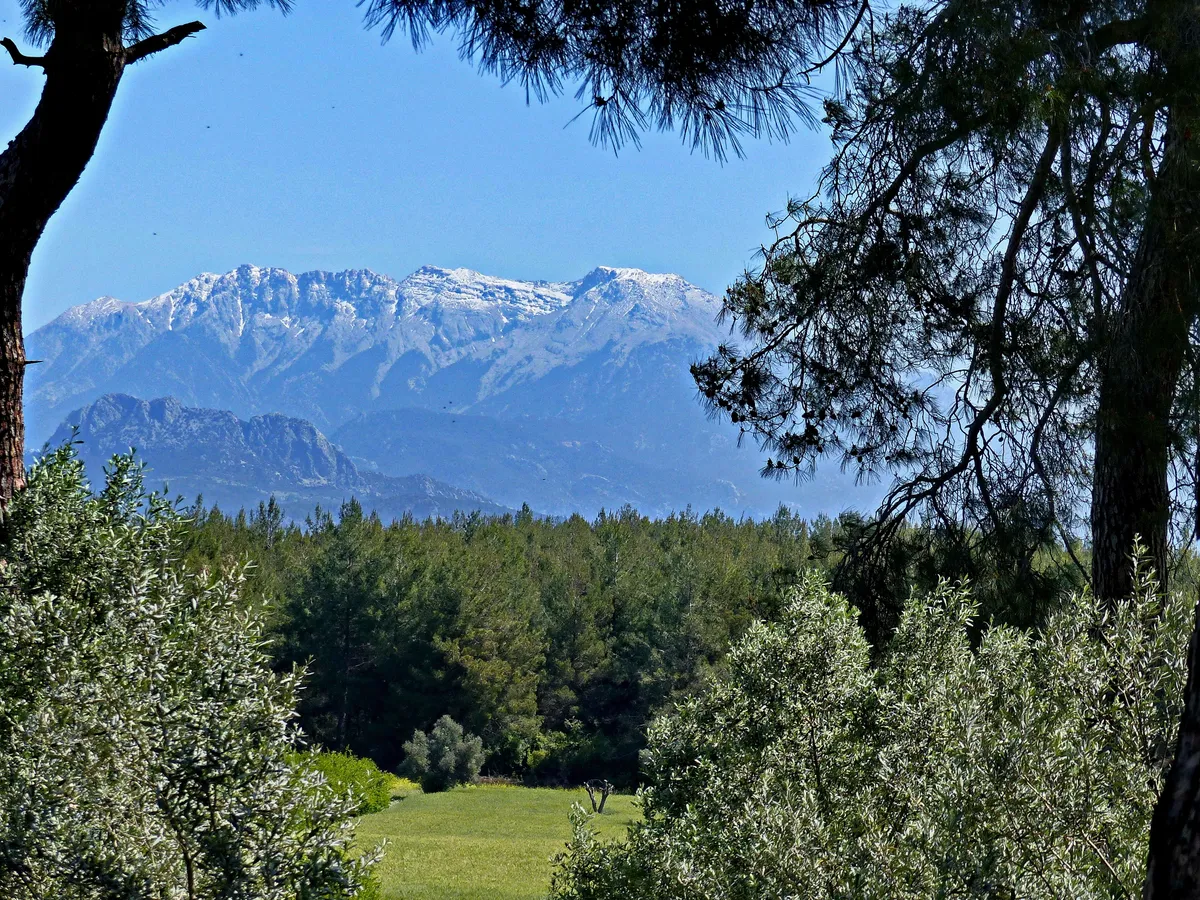 Kurtini Mağarası (Akdağ)