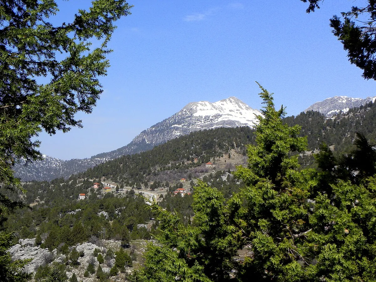Manas Yaylası
