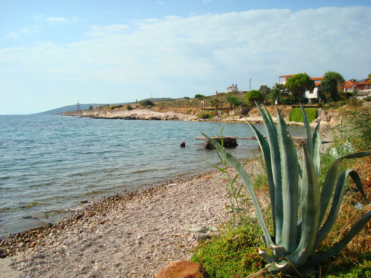 Marmara Sahil Parkı ve Plaj Kordonu (Mokas)