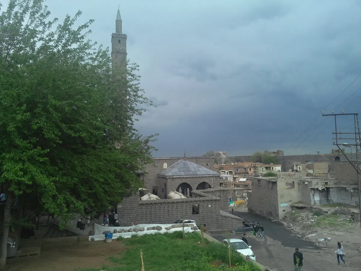 Tekirdağ Ergene'nin Saklı Su Yüzleri: Ergene Nehri ve Çevresindeki Doğal Güzellikler