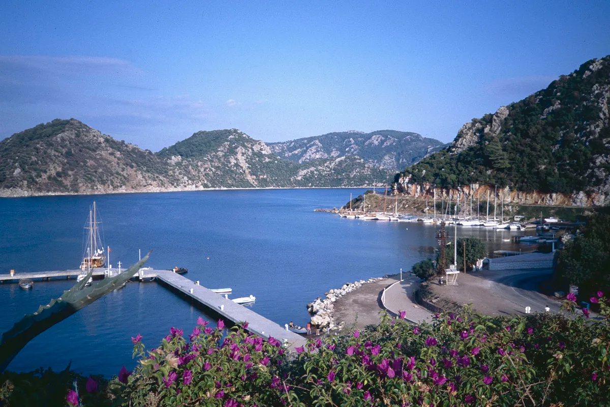 Munamar (İğdir) Yaylası ve Çam Ormanları - Kastamonu Araç