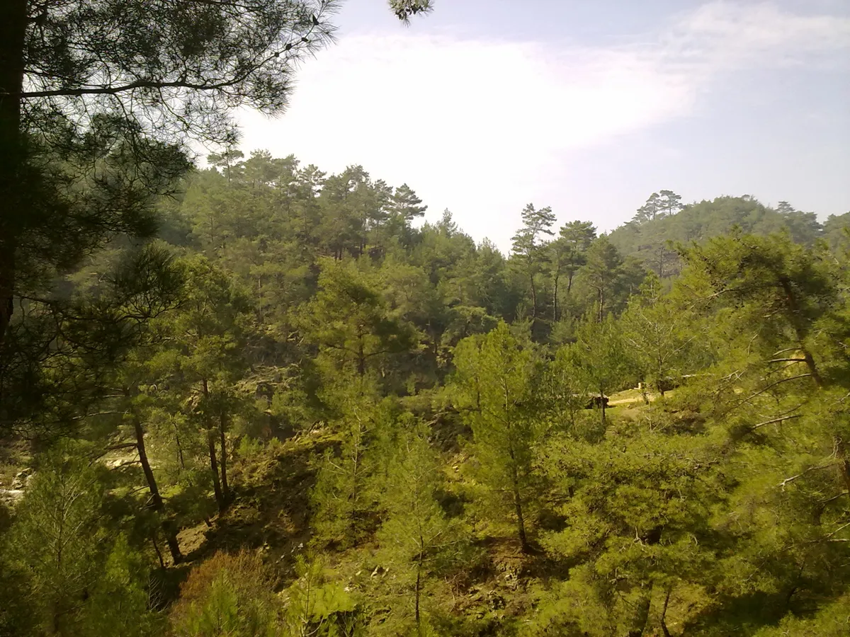Muzkent Sahili