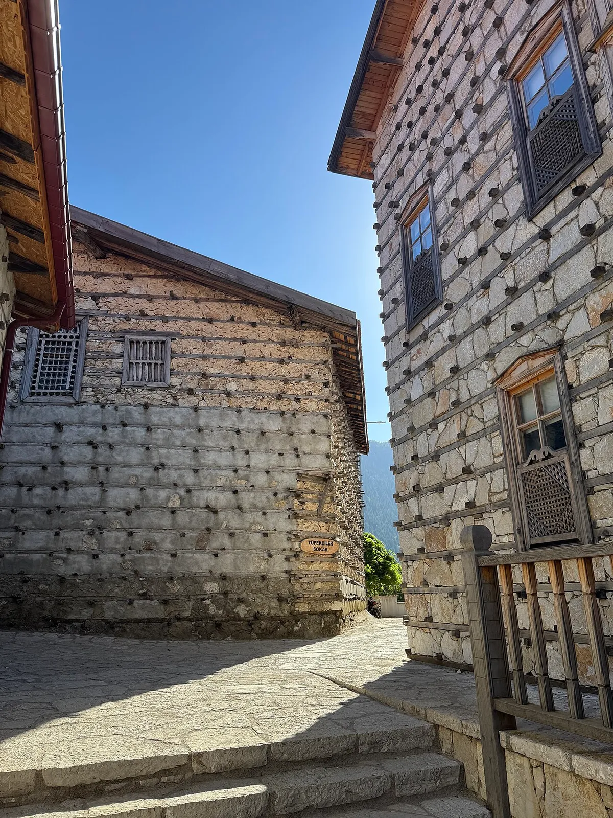 Ormana Düğmeli Evleri
