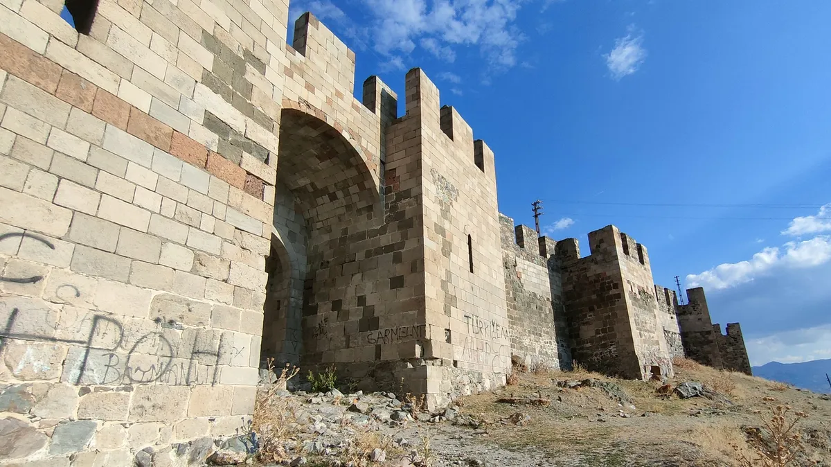 Pasinler Kalesi (Hasankale)