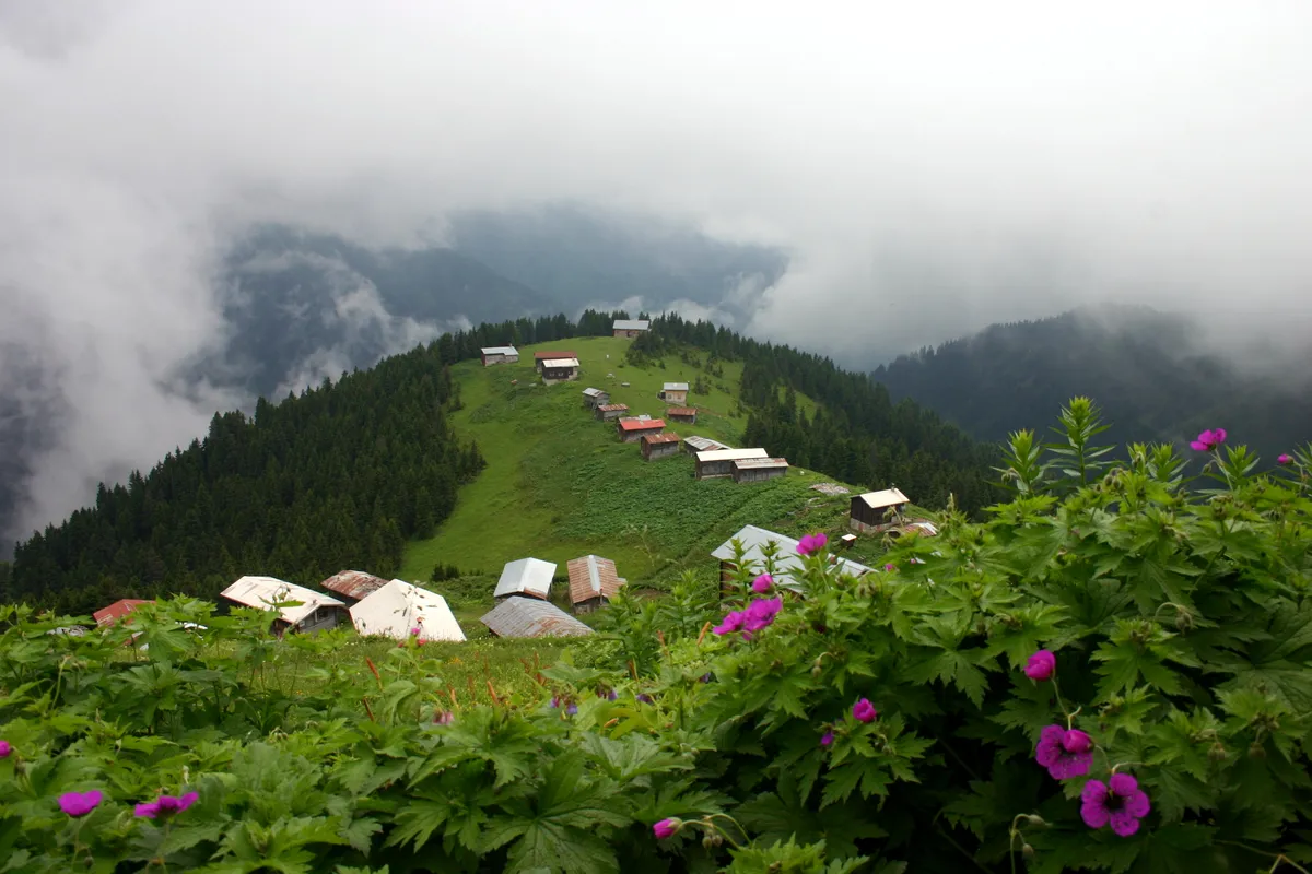 Pokut Yaylası ve Bulut Denizi