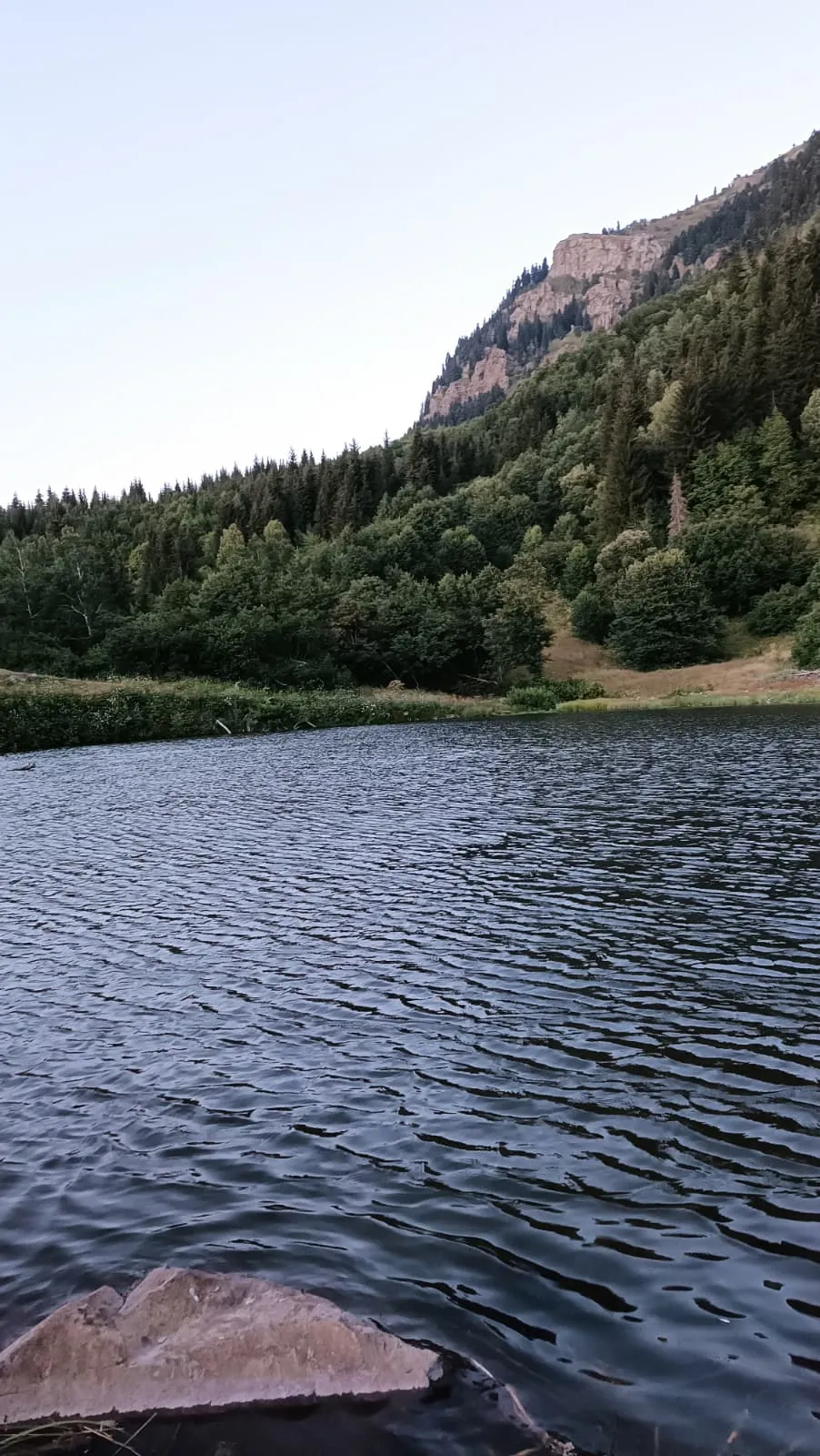 Artvin Şavşat Rutav Gölü Nilüfer Sulak Alanı