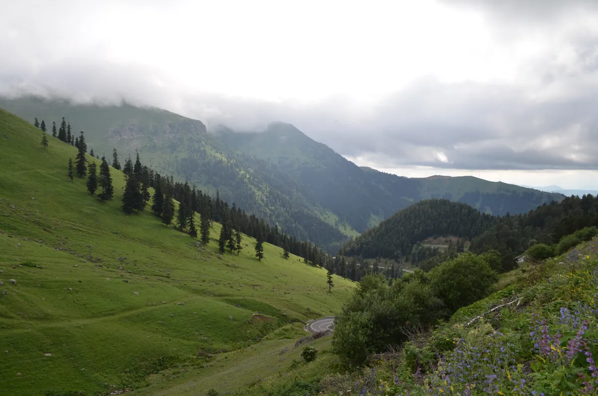 Artvin Şavşat Sahara Yaylası Milli Parkı