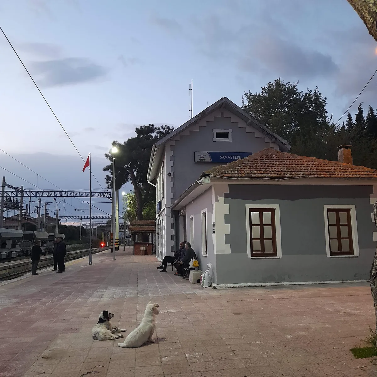 Sarıbeyler Göleti & Çam Ormanı Mesire Alanı