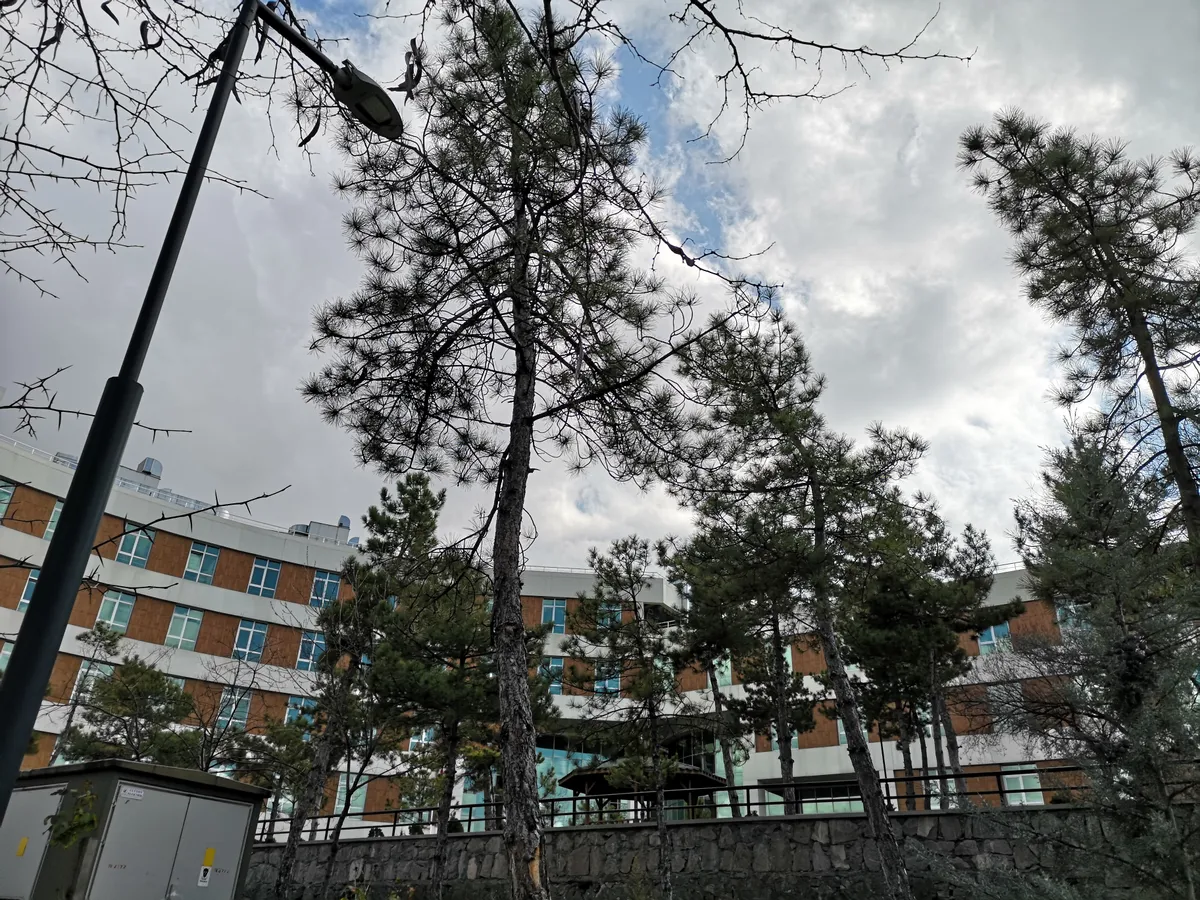 Şehit Sait Ertürk Parkı ve Anıtı