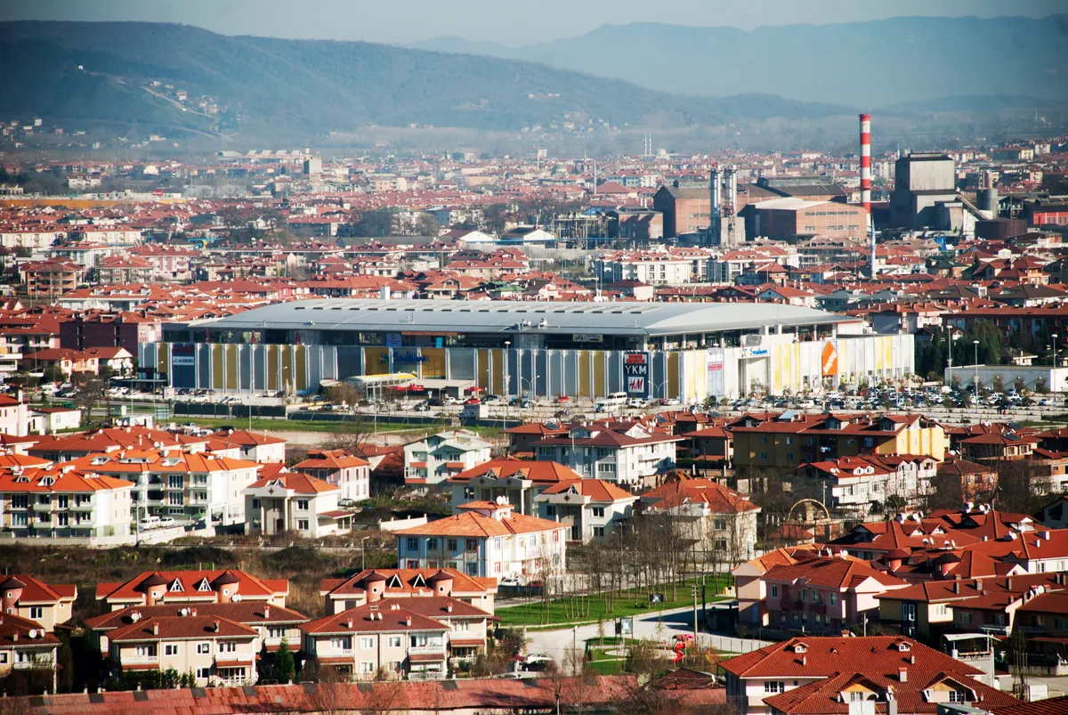 Serdivan AVM