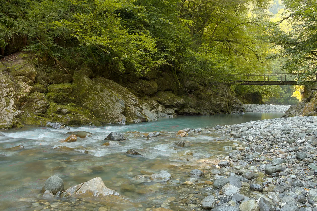 Ağva Göksu Deresi Kanyon Vadisi ve Doğa Yolu