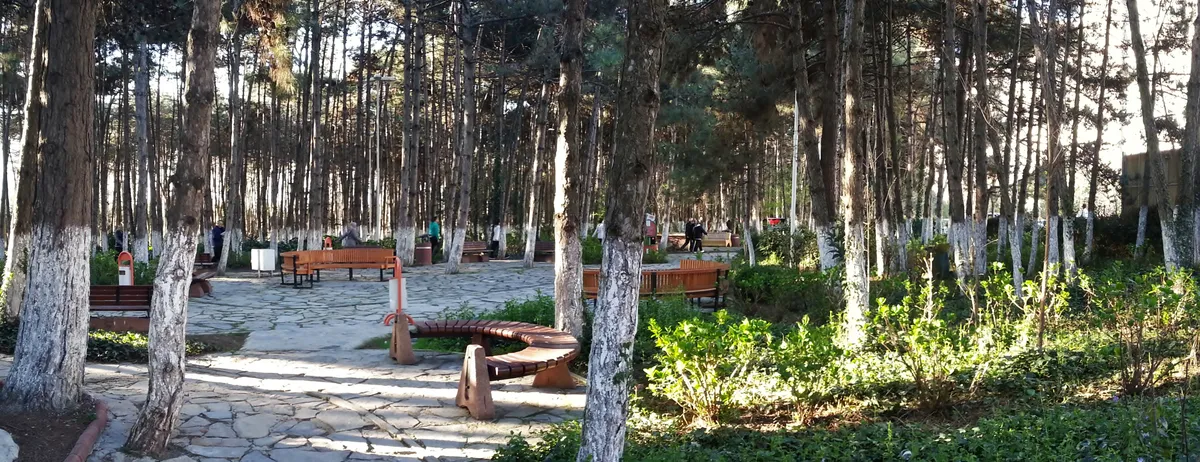 Şiran'ın 2026 Tescilli Coğrafi İşaretleri ve Yöresel Lezzet Mirası Rehberi (Gümüşhane Gezi Rehberi)