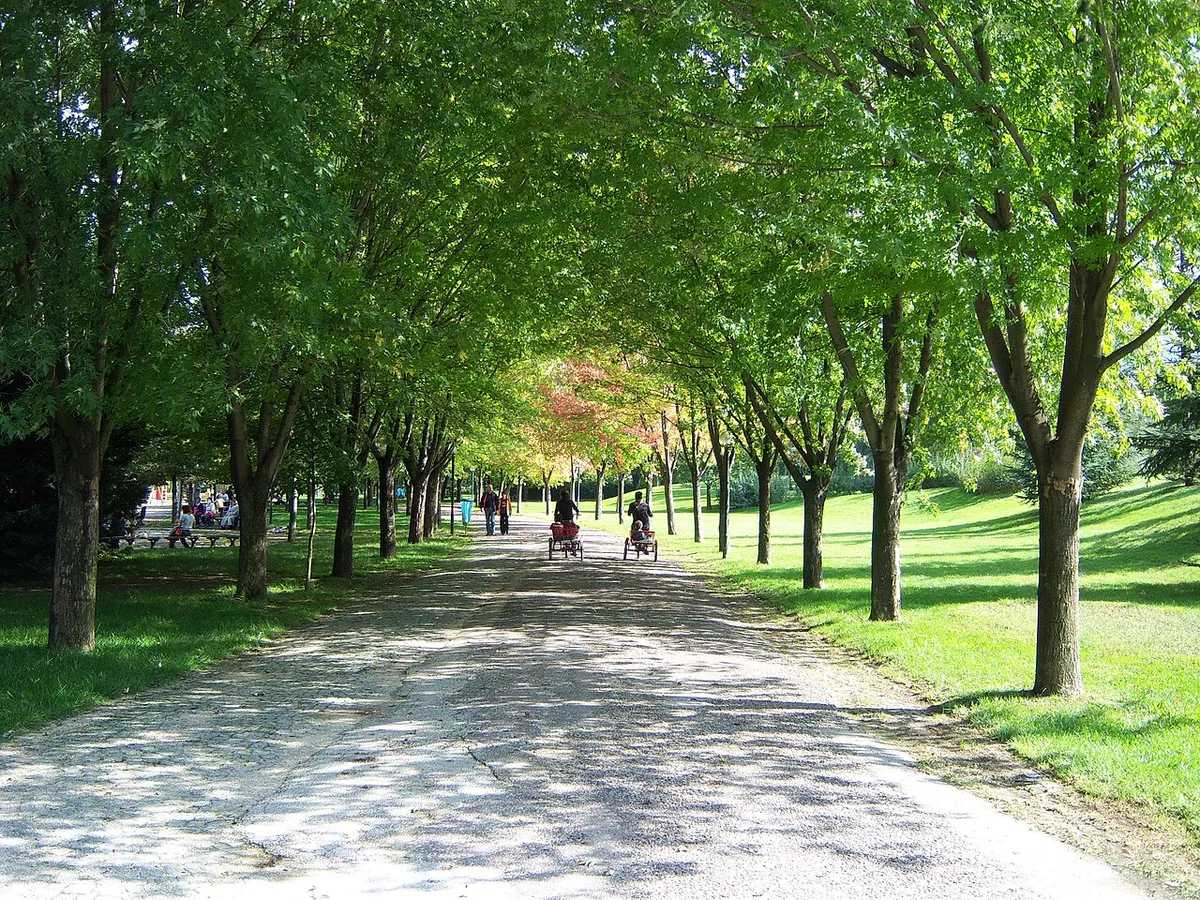 Soğanlı Botanical Park