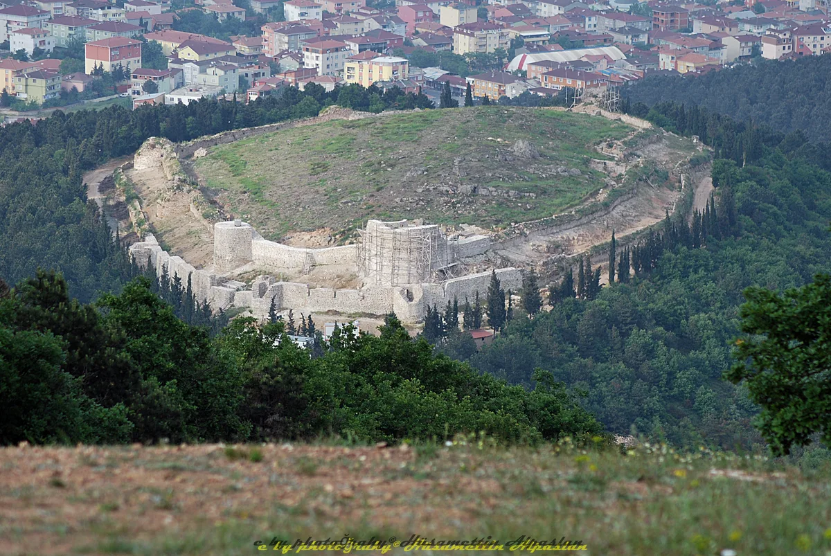 Sultanbeyli'nin Gizli Kanatları: İstanbul'da Kuş Gözlem Rehberi