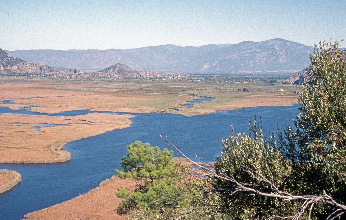Sülüngür Gölü (Dalyan Lagünü) - Muğla Ortaca