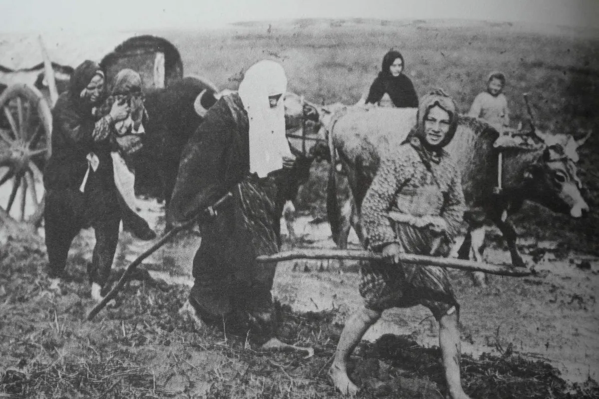 Tarihi Bozkurt Muhacir Evleri & Parkı