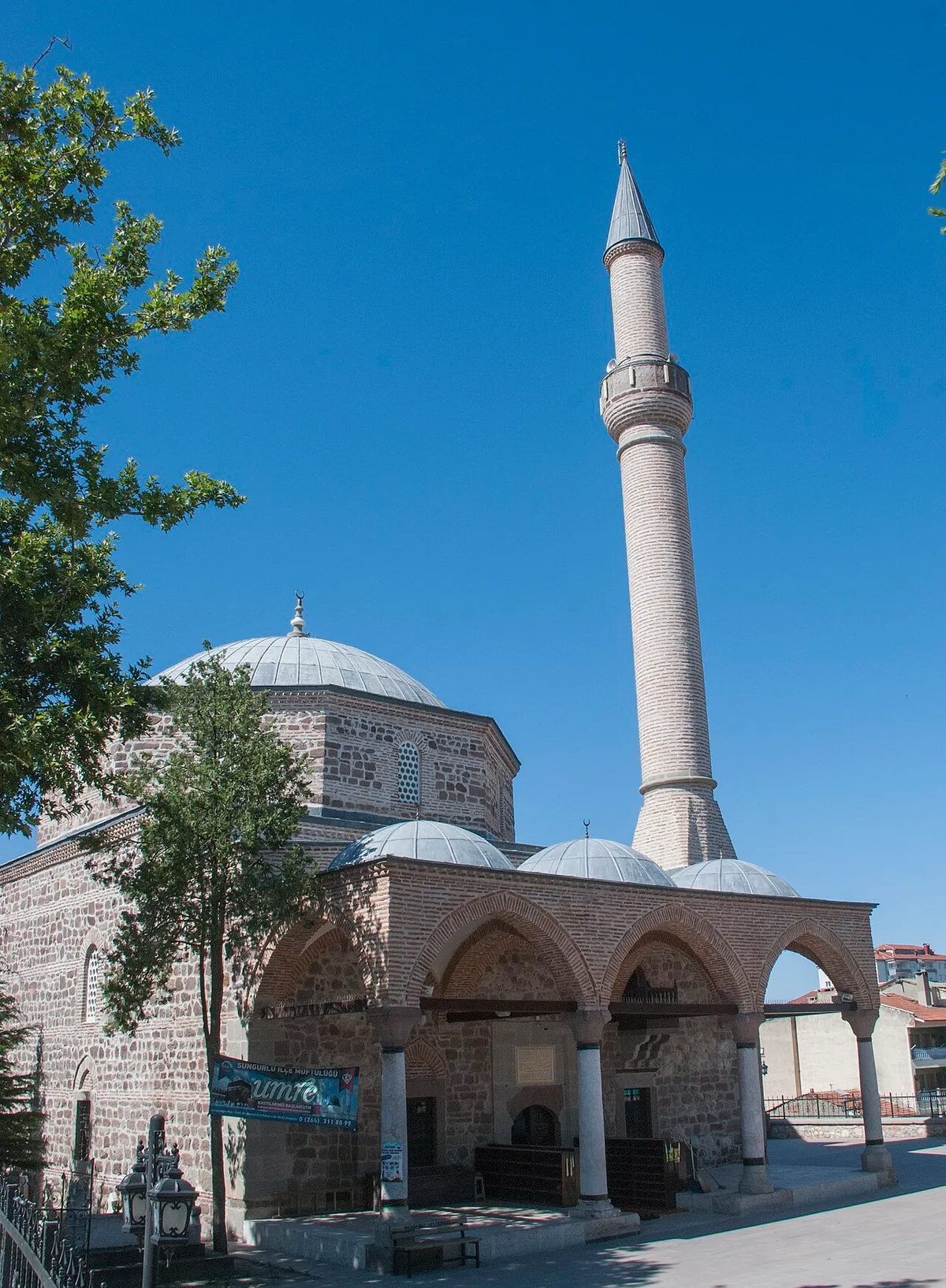 Çorum Sungurlu'da Kuş Gözlemi: Doğanın Saklı Melodileri Peşinde Bir Yolculuk