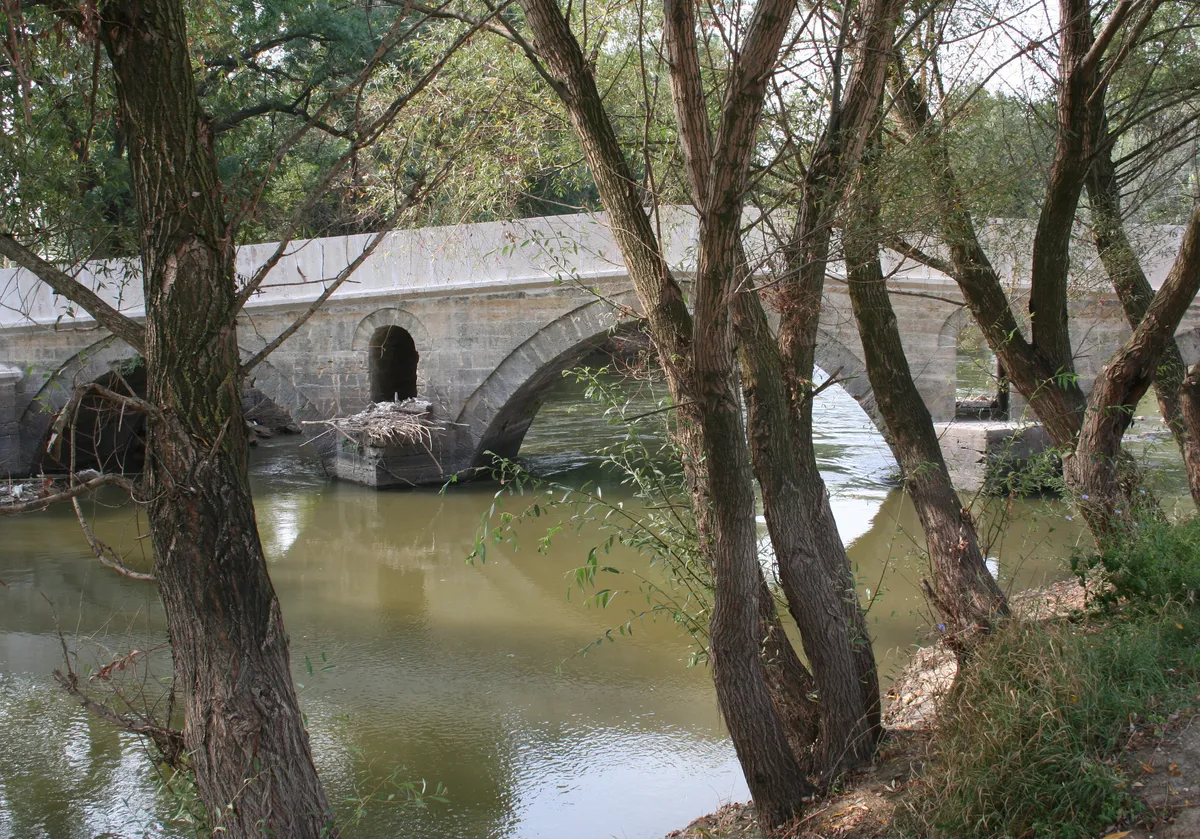 Edirne Merkez'in Zamanda Yolculuk Durakları: Tarihi Mekanlar Rehberi