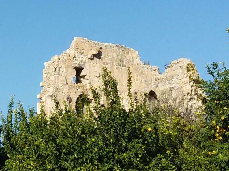 Tece Sahil Kordonu