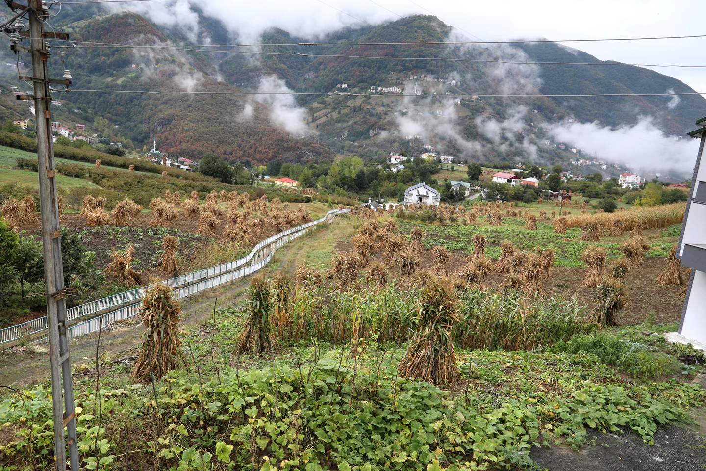 Tarihi Gürgendağ Yaylası ve Şahinkaya Göleti Doğa Rotası (Düzköy) - Trabzon Düzköy