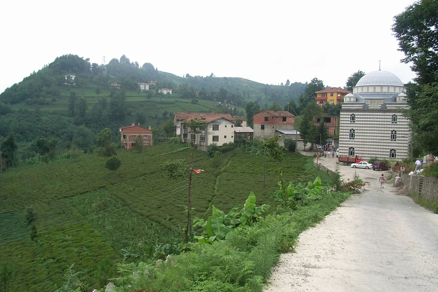 Tarihi Sarmaşık Kaplıcaları ve Hayrat Vadisi Şifalı Su Havzası - Trabzon Hayrat