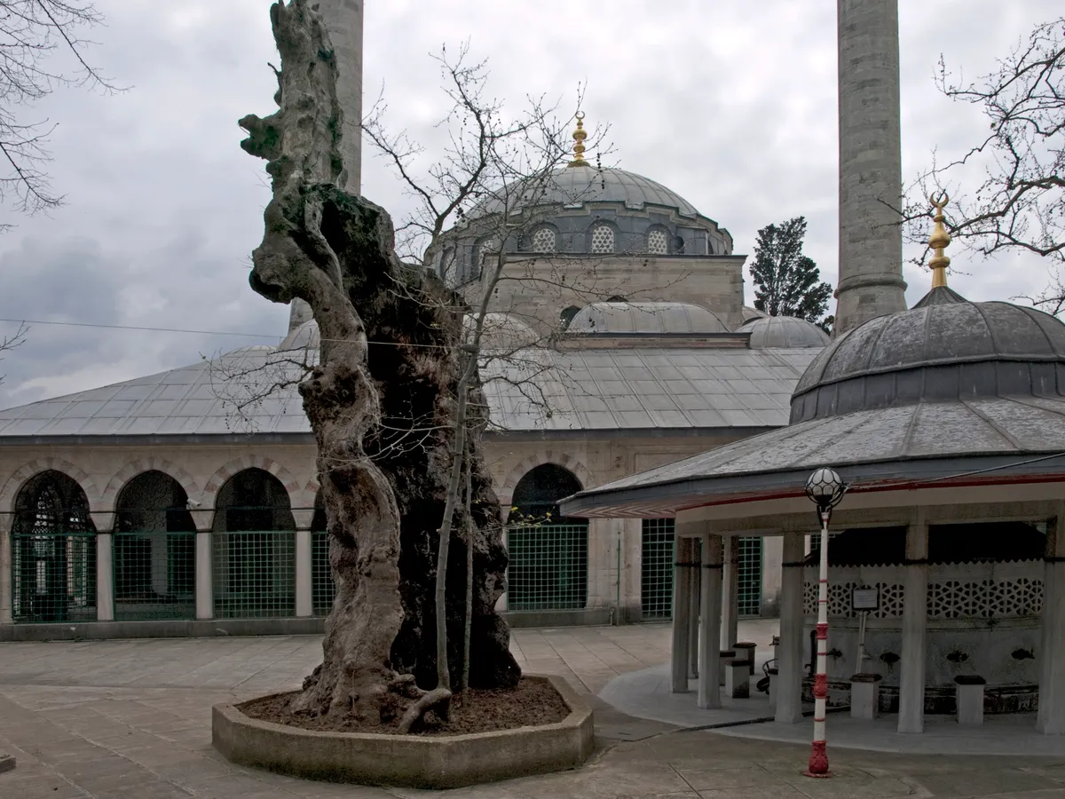 Atik Valide Camii ve Külliyesi
